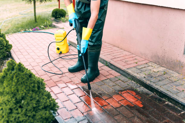 Boat and Dock Cleaning in Montrose, MN